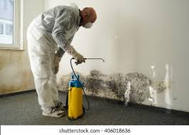 Why You Should Choose Our Mold Remediation Services in Rosemead, CA